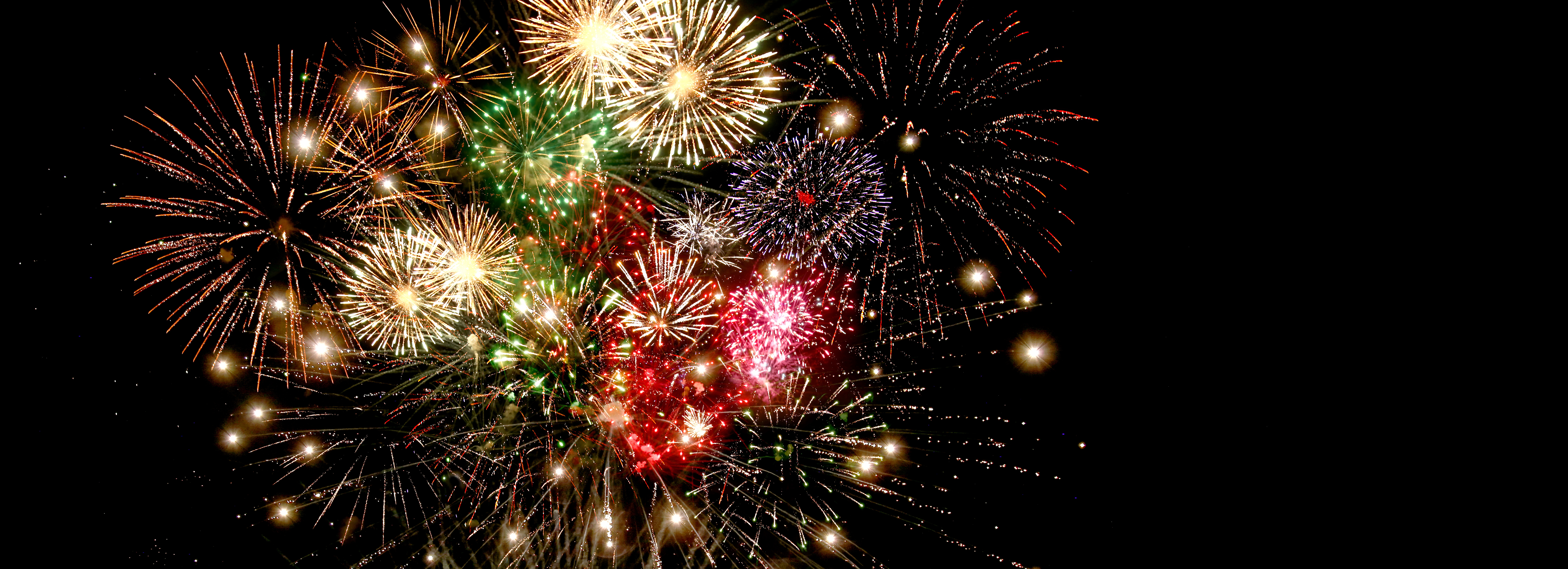 Read more about the article How to Handle Fireworks and Cats this July