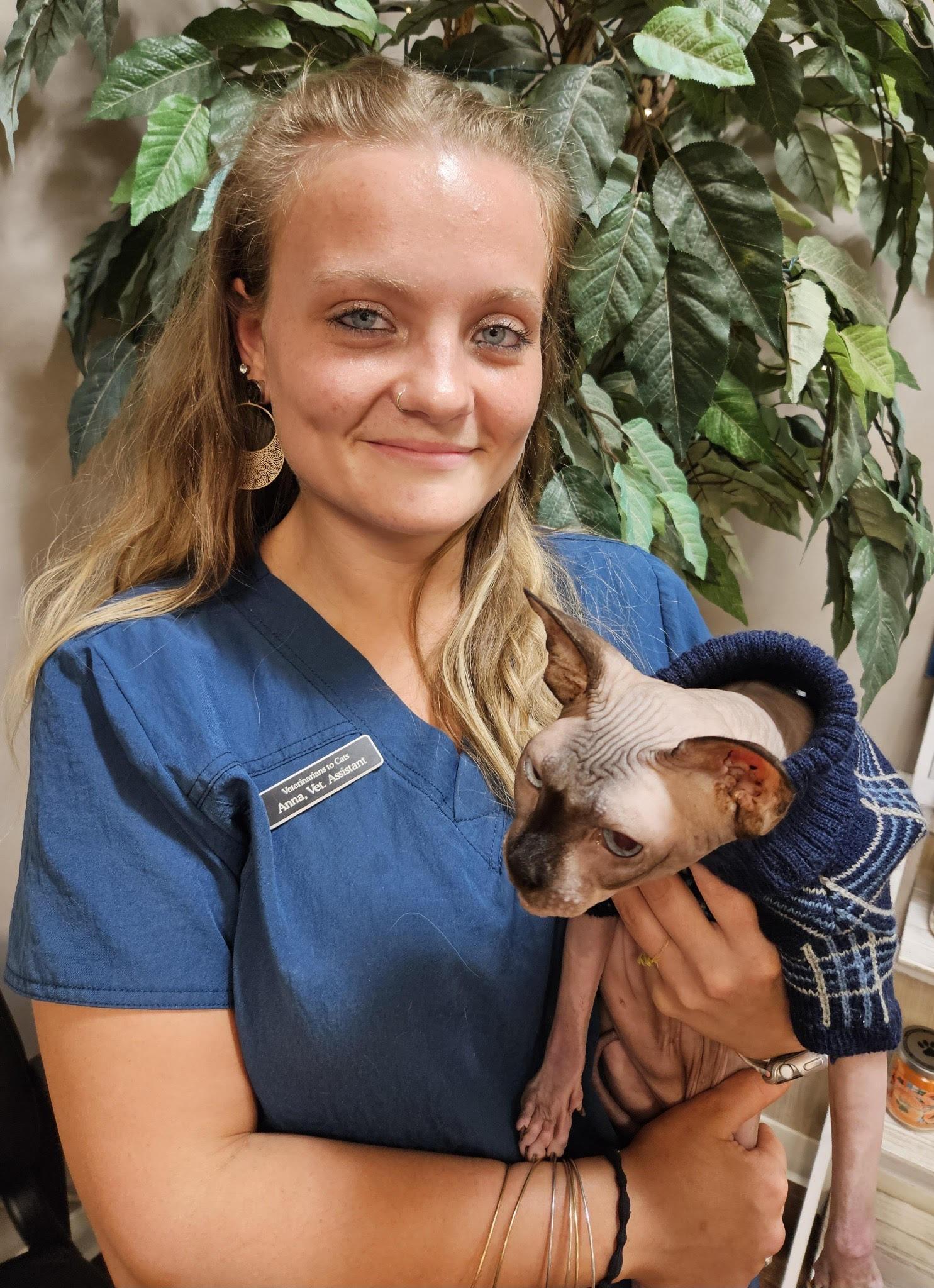 Meet the Doctors in Roanoke, VA Veterinarians to Cats