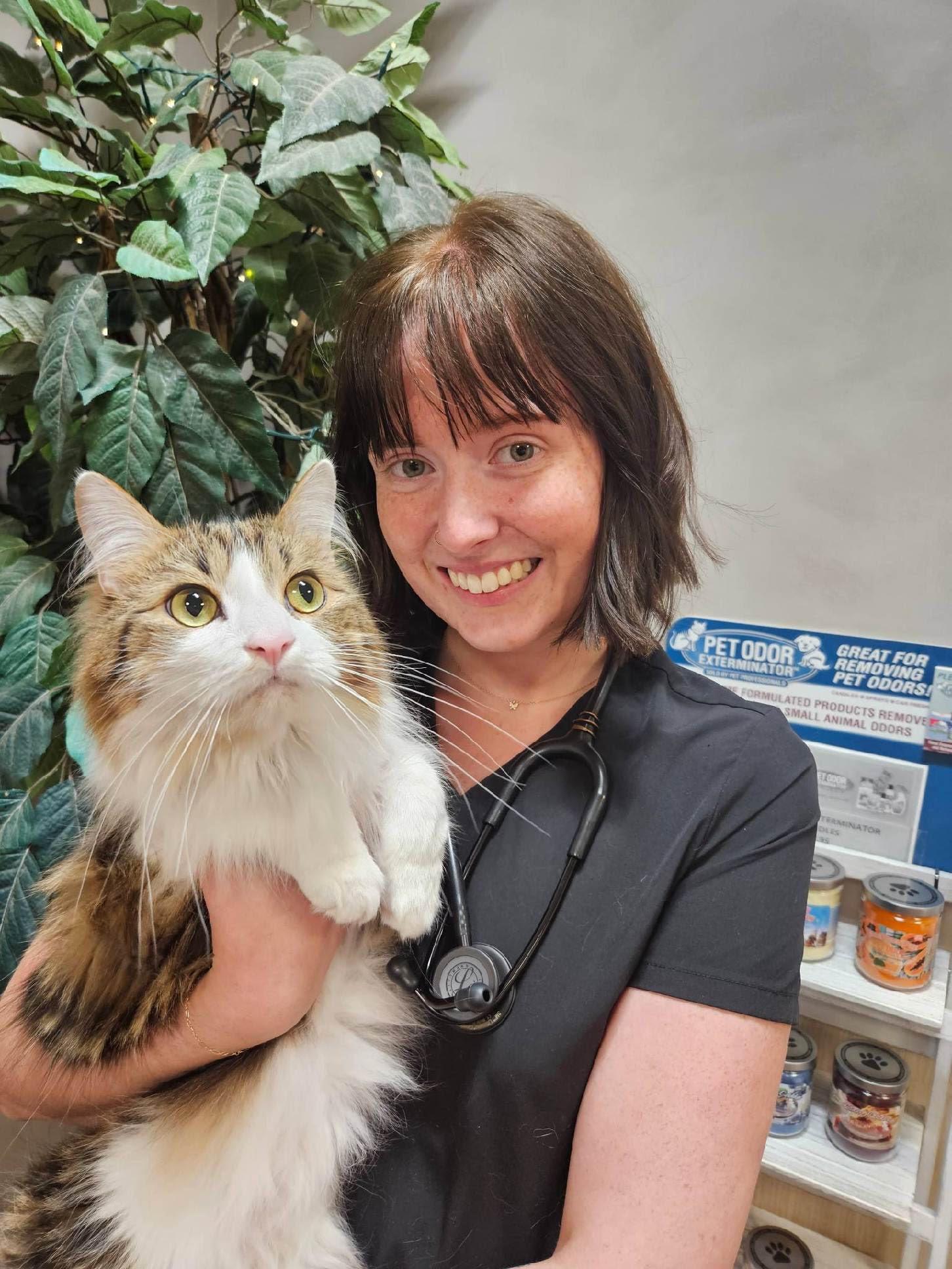 Meet the Doctors in Roanoke, VA Veterinarians to Cats