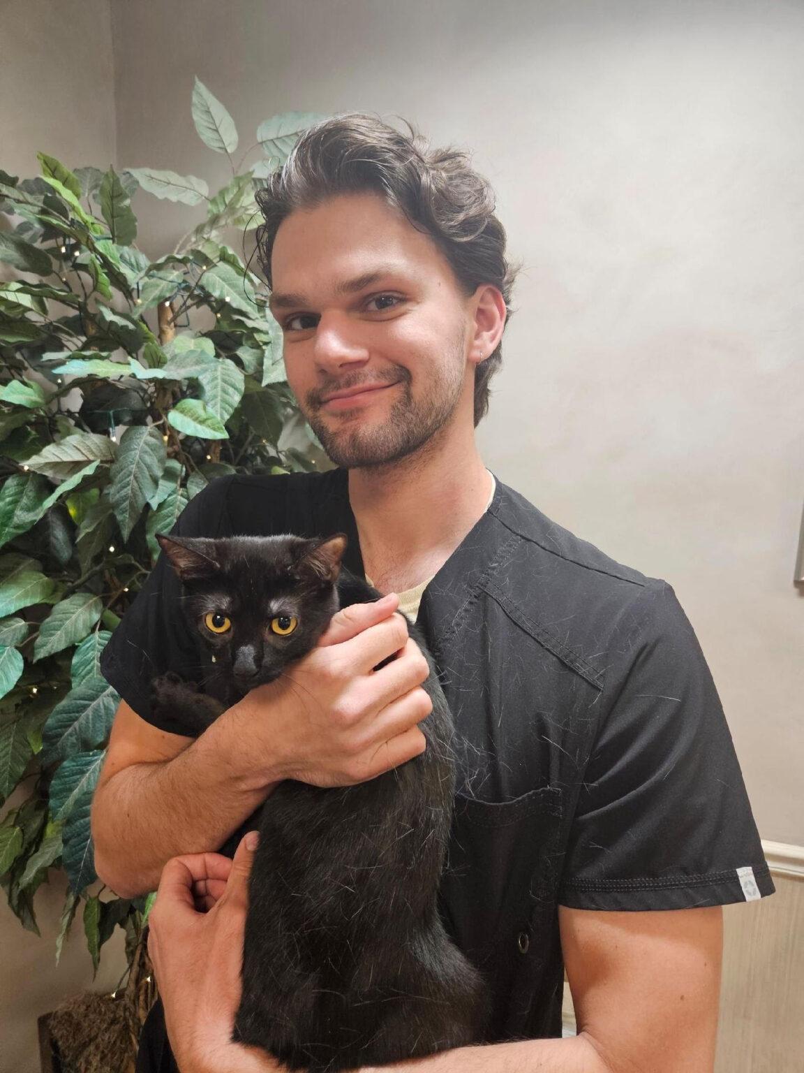 Meet the Doctors in Roanoke, VA Veterinarians to Cats