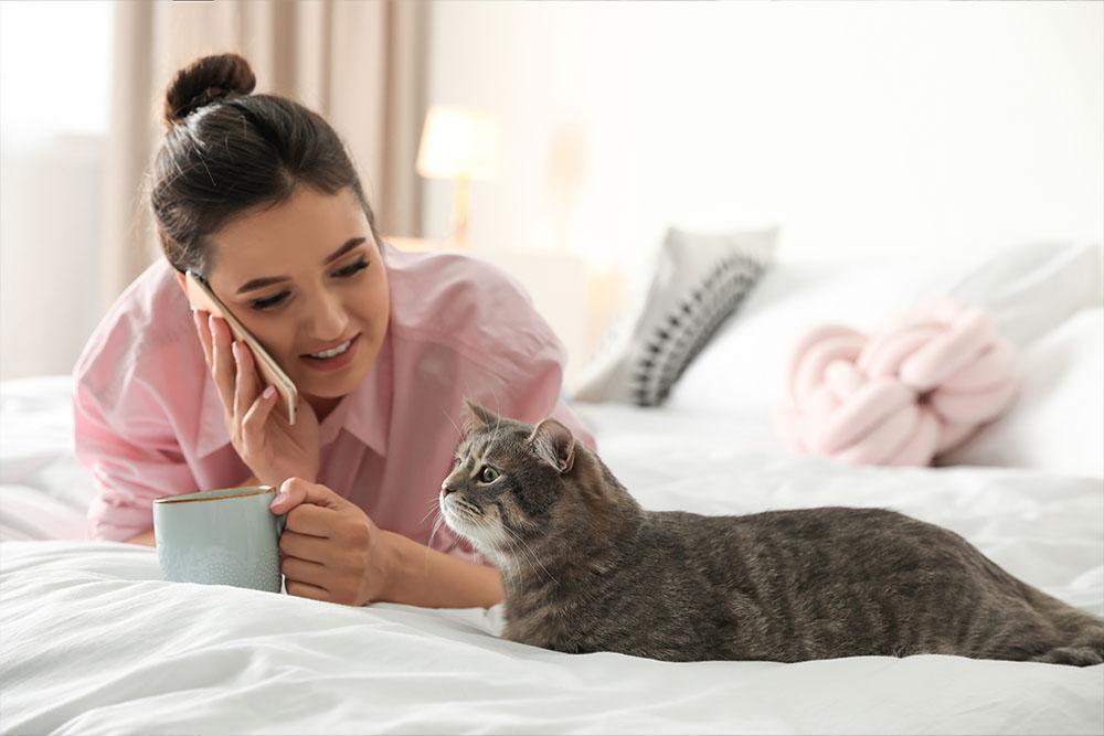 Read more about the article Does My Cat Understand Me?