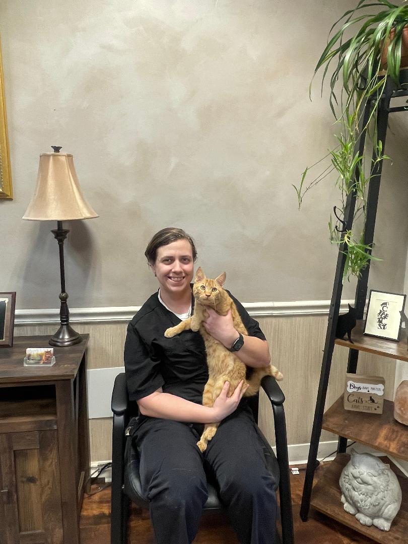 Meet the Doctors in Roanoke, VA Veterinarians to Cats