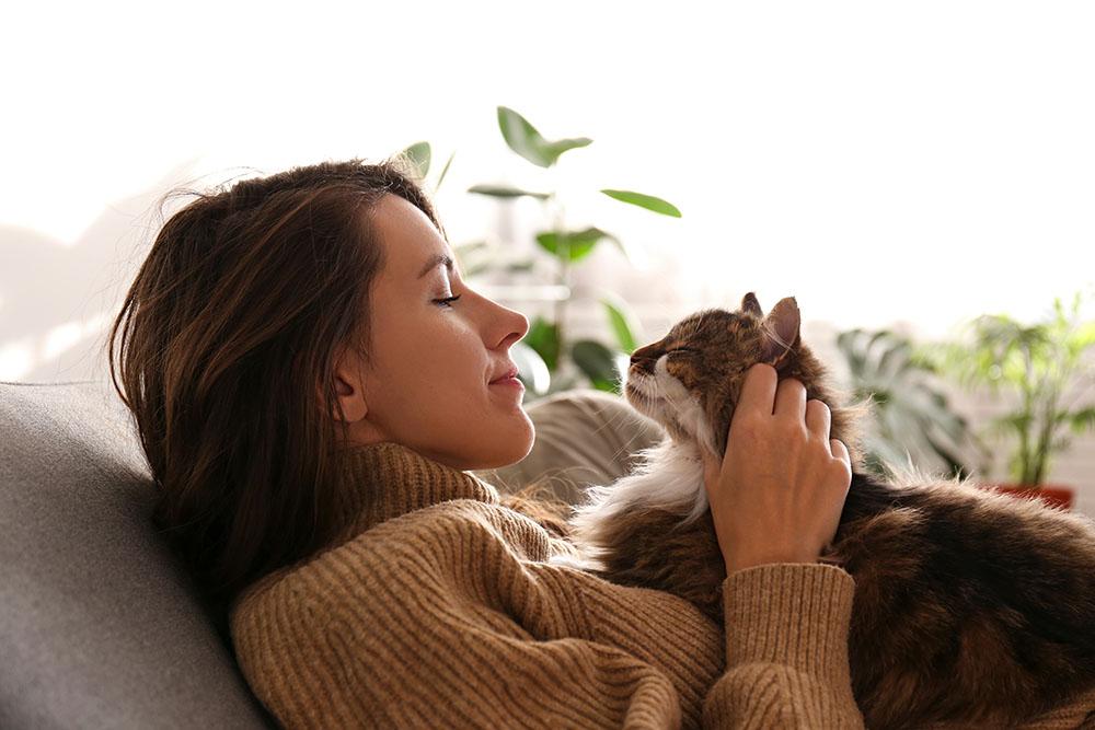 Why You Should Have a Recent Photo of Your Cat - Blog MR3.12