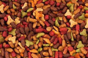 10 Human Foods That Are Safe For Cats and 5 That Are Not